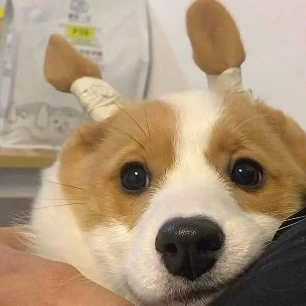 公务员考试交流中心